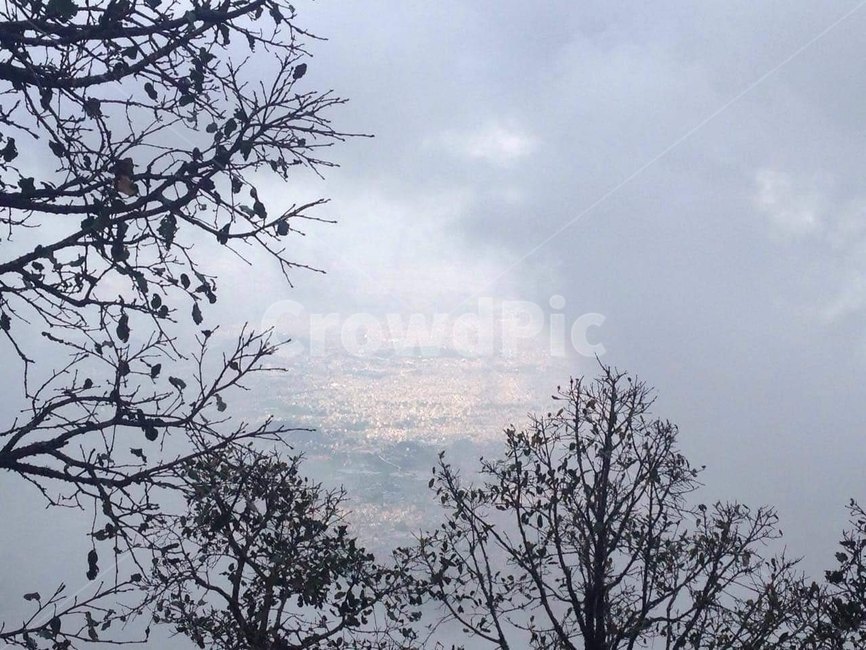 nature,weather,view,tree,나뭇가지,자연,날씨,뷰,자연,풍경,nature,landscape,outdoors,옥외