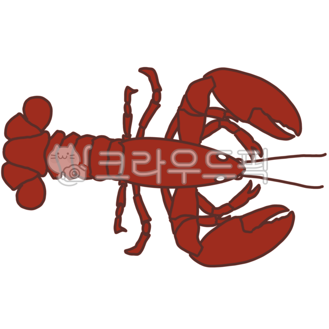 갑각류,가재,소라,게,해산물,소라게,해산,집게