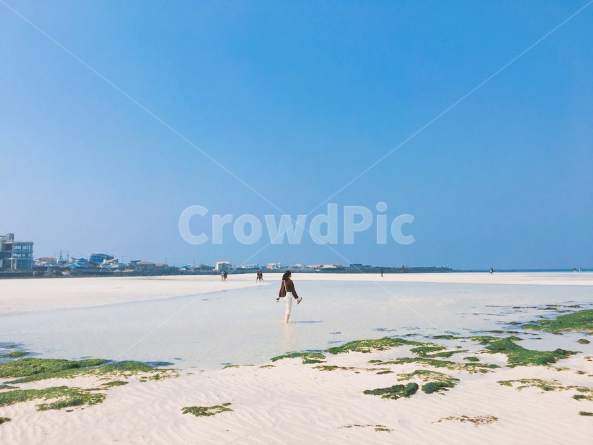 금능해변,바다,뒷모습,제주도,자연,해변,사람,인물,인간,여성,여자,여행,푸른바다