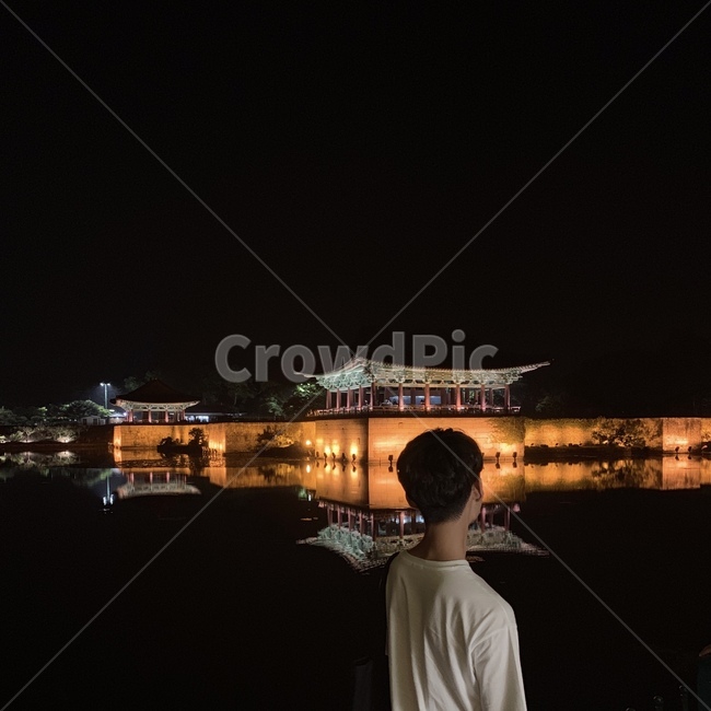 안압지,유적지,경주,풍경,야경,경주여행,뒷모습,밤,어두움