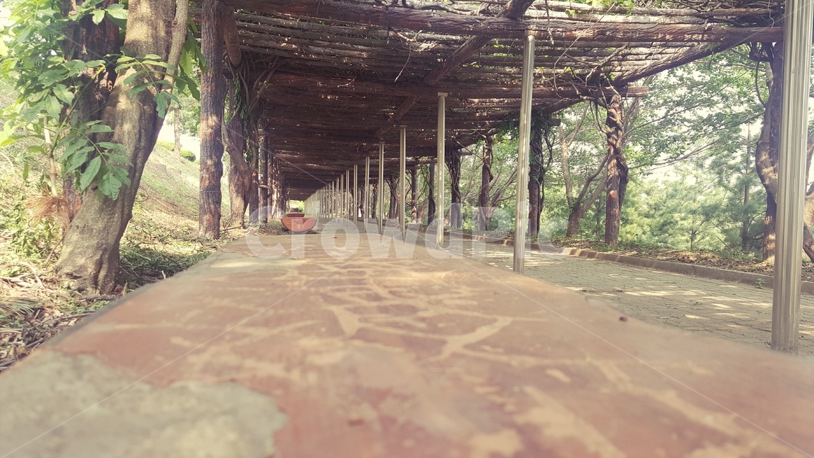 자연,숲,숲길,힐링,휴식,자연,풍경,nature,landscape,patio,안마당,porch,현관,pergola,페르 골라