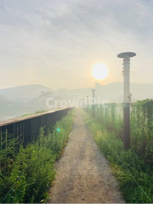 저수지,해,풀,산책로,길