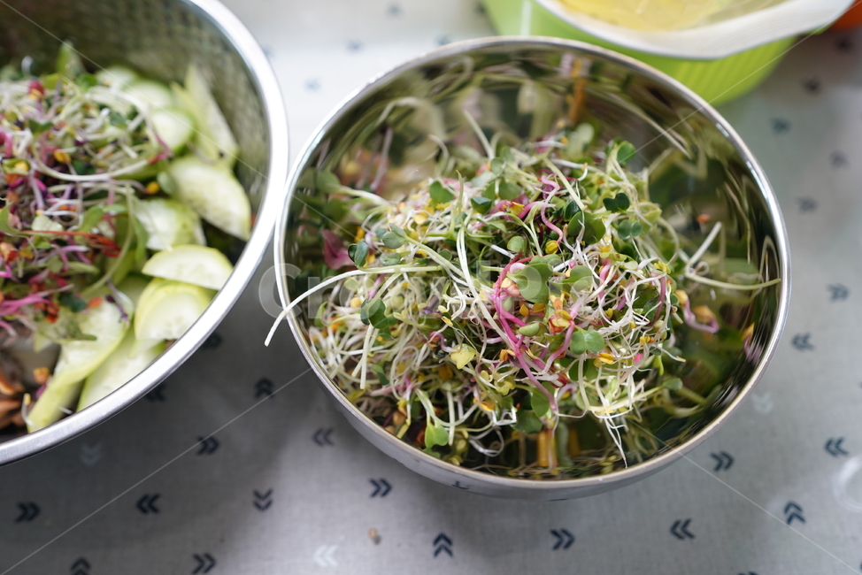 야채,채소,건강식,음식,food,식물,먹거리,새싹,양푼,plant,음식,식재료,요리,food,cook,meal,dishes,food reserves,채소,야채,vegetables