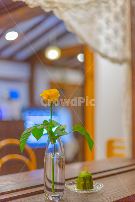 꽃,장미,노란장미,빨간장미,정물,화병,꽃병,꽃,flower,실내용화초,화분,화초,house plant,감성,sensible,feeling,인테리어,실내디자인,interior design