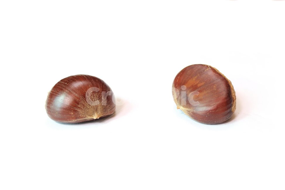autumn,brown,chestnut,closeup,fall,food,macro,natural,nature,nut,plant,white,whitebackground,가을,밤,열매,클로즈업,음식,자연,흰배경,알밤,과일,열매,fruit