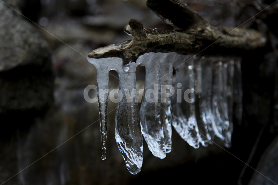 고드름,얼음,겨울,추위,물,청아,맑음,풍경,겨울,계절,winter,season,자연,풍경,nature,landscape,outdoors,옥외,snow,눈
