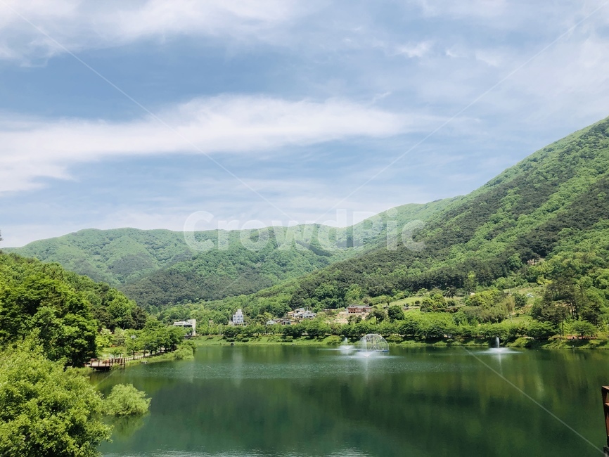숲,풍경,저수지,나무,초록,자연,봄