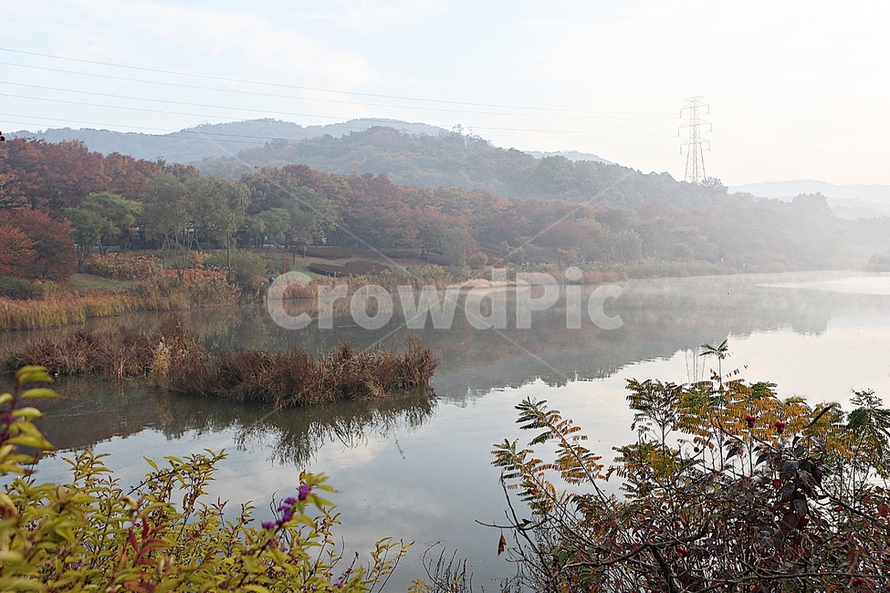 인천대공원,호수,단풍,단풍나무,풍경,아침,안개,나무,울긋불긋,가을,식물,자연,공원,낙엽,하늘,가을,계절,fall,autumn,season,자연,풍경,nature,landscape,water,물,outdoors,옥외