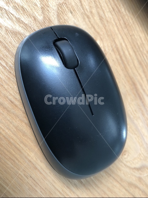 마우스,computer,컴퓨터,mouse,electronics,정보통신기술,전자기기,전자제품,it,information,technology,electronic equipment