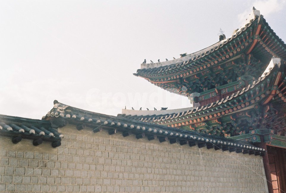 창경궁,필름,필름카메라,창덕궁,혜화,한국전통,한국문화,korean traditional,korean culture,건축물,건물외관,exterior,building,structure,architecture,construction