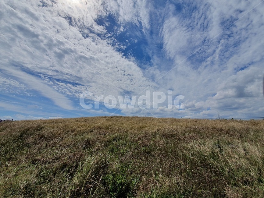 nature,자연,outdoors,옥외,grassland,목초지,field,들,하늘,구름