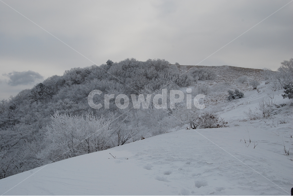 wind noise,mountains,snow scene,beauty,ecosystem,snow tree,greatness of nature,scenery,trees,mountain climbing,healing,season,land,ridge,mysterious mountain,Korea,sky,nature,famous Korean mountain,hiking,hiking trail,stone,environment,Sobaeksan Mountain,e