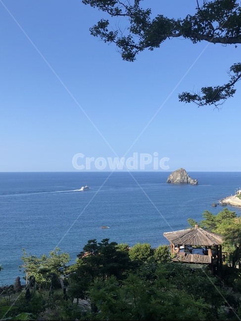 울릉도,바다,하늘,파도,바위,나무,섬,자연,풍경,nature,landscape,outdoors,옥외,land,땅,ocean,대양,sea,water,물,shoreline,해안선
