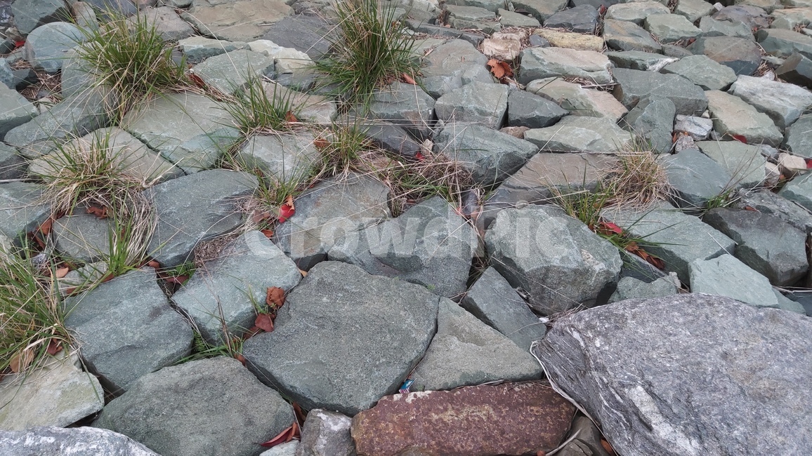 판석,보도,통로,path,walkway