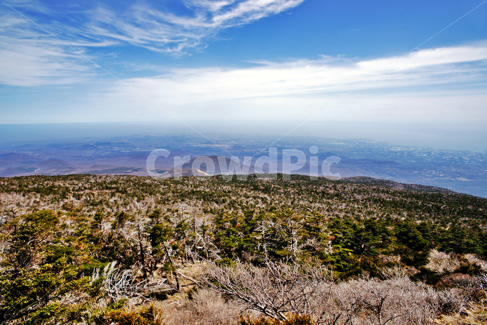한라산,제주도,한라산국립공원,성판악코스,푸른하늘,서귀포시,암석,화산암,사라오름,오름
