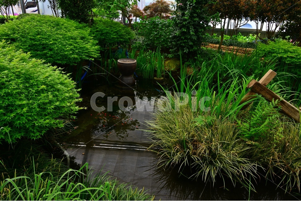 outdoors,옥외,garden,정원,wood,나무,water,물,nature,자연,연못,금붕어