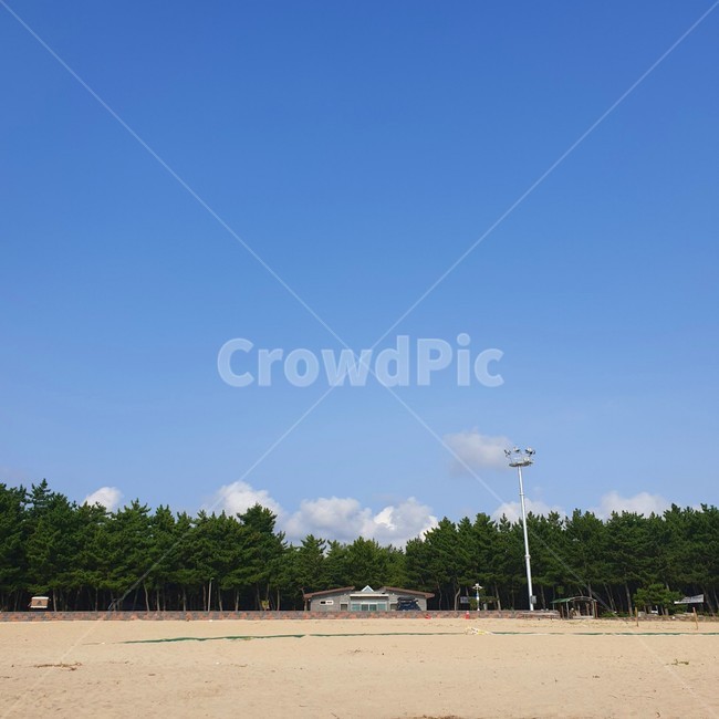outdoors,자연,nature,옥외,푸른하늘,하늘,숲,풀,나무