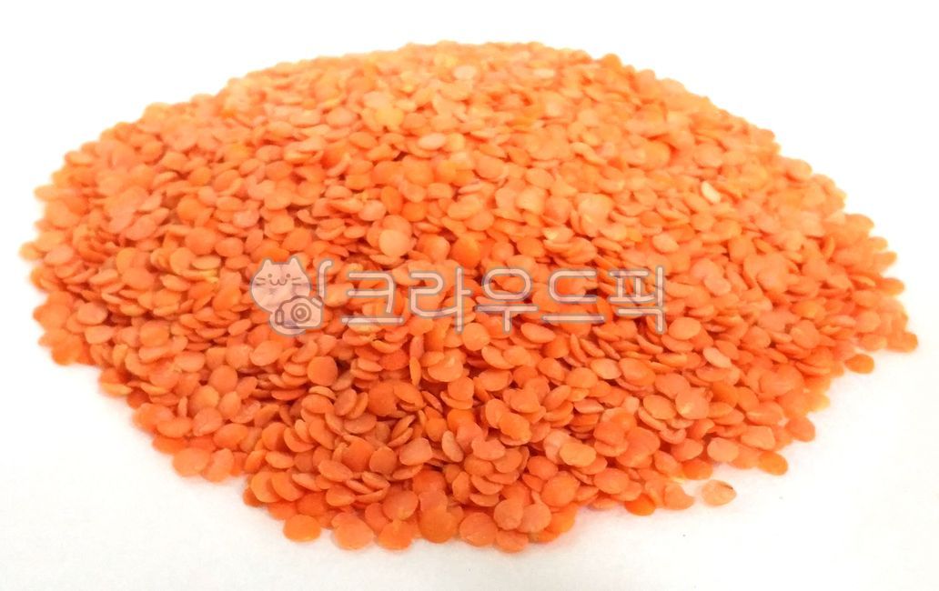 렌틸콩,랜틸콩,렌틸,레드,붉은,렌틸빈,렌즈콩,랜즈콩