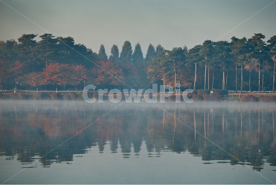 반영,호수,대칭,물안개,아침,nature,자연,outdoors,옥외,water,물