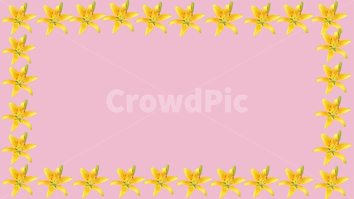 꽃,flower,야생화,노란꽃,나리꽃,봄,내추럴,꽃송이,패턴,spring,배겅이미지,season,blossom,프레임,계절,백그라운드,그래픽,디,디자인,편집,식물,plant,틈나리,그래픽,일러스트레이션,graphic,illustration