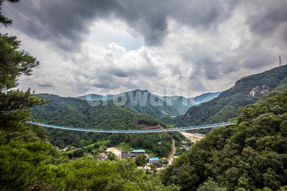 출렁다리,건축물,다리,구름다리,흔들다리,풍경,bridge