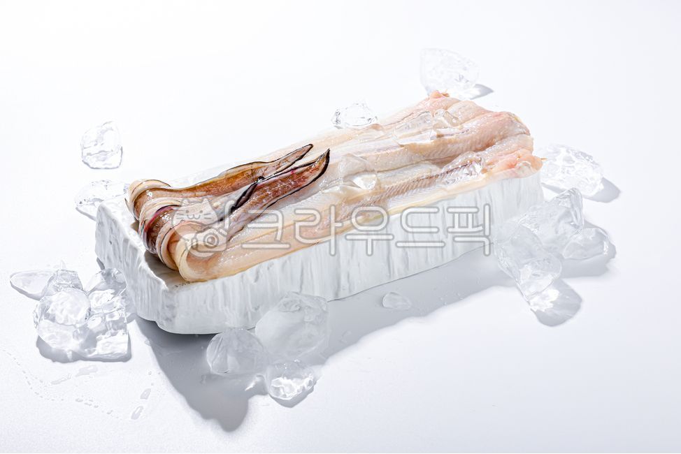 장어,그릇,원물,바다장어,민물장어,신선,수산물