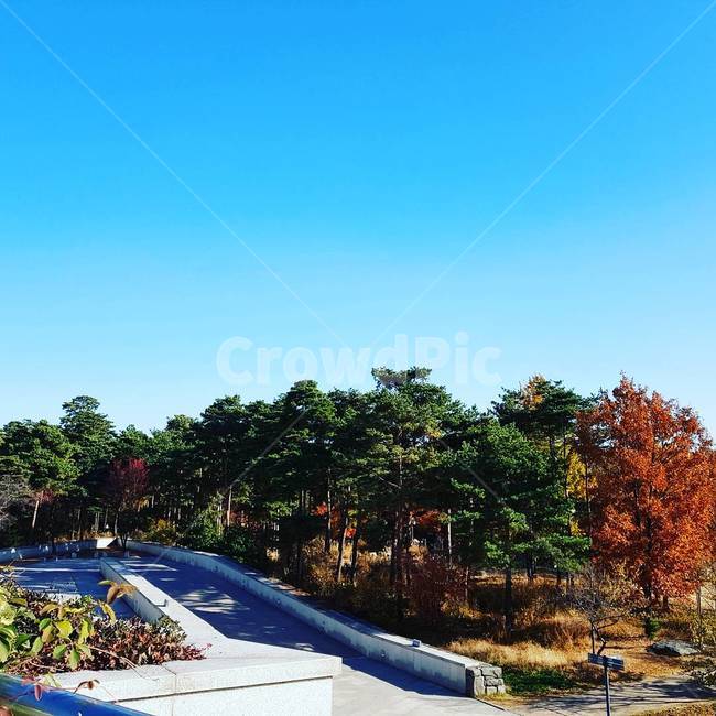 나무,봄,파란하늘,나뭇가지,푸른하늘,자연,풍경,nature,landscape