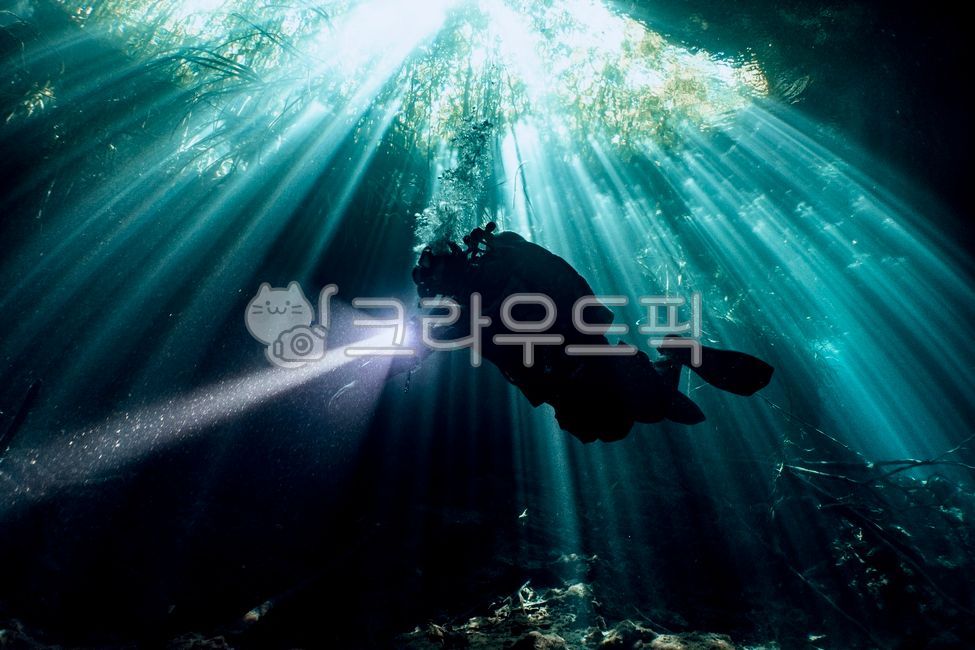 Cenote,Mexico,diving,scuba,scuba diving,cenote,scuba,diving,diver,light,cave,cavern,light