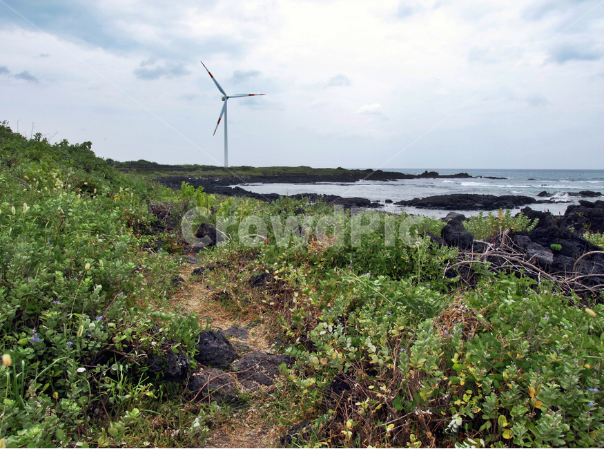 풍력발전기,해녀콩서식지,제주,올레14코스,올레길,바다,자연,풍경,nature,landscape,제주도,jeju,jeju island,engine,엔진,motor,모터,machine,기계