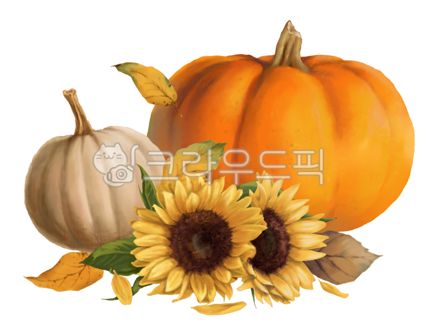 sunflower picture,sunflower illustration,pumpkin illustration,fallen leaves,pumpkin picture,thanksgiving,autumn,pumpkin,sunflower