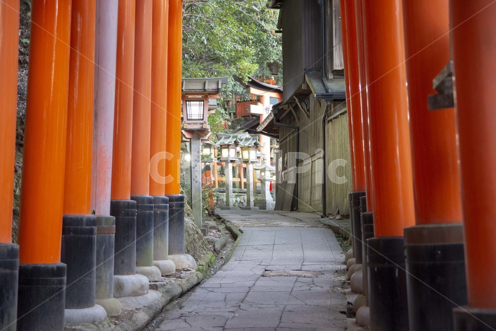 flagstone,판석,architecture,건축물,건물,토리이,신사,배경,shrine,scenery,background,building