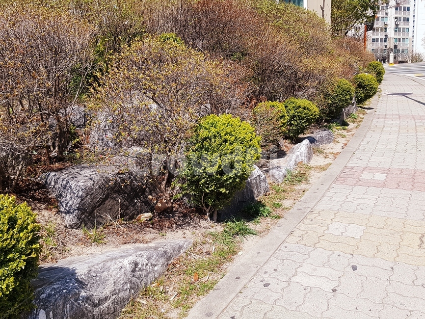 길,바닥,돌,돌길,화단,자갈,잔디,풀,벽돌,초록색,산책
