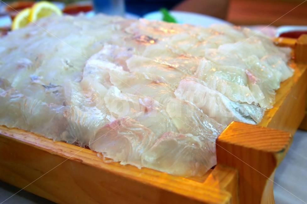 광어,광어회,생선회,회,일식,음식,신선한,오브젝트,해산물,음식,식재료,요리,food,cook,meal,dishes,food reserves,수산물,해산물,fishery products,seafood