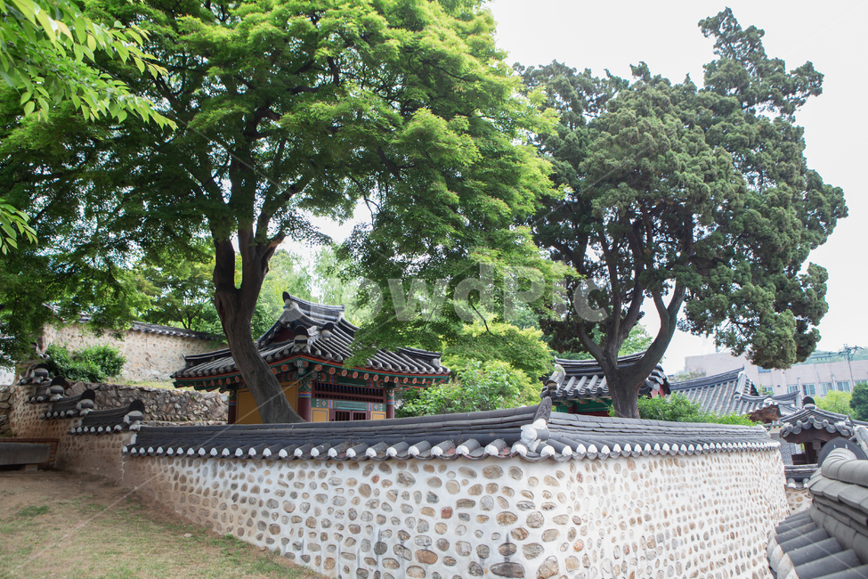 tree,plant,식물,outdoors,옥외,garden,정원,arbour,정자,문화,역사,건물,건축,강화,강화도,문화재,유산,유물,나무,기와,한옥,주택,가옥,전통,전통가옥,전통양식,담장,담,담벼락,벽돌,전통집,기와집,조선시대,용흥궁,철종의집,철종,단청,고건물,고건축,배경,백그라운드,기와장,관광지,한국전통,한국문화,korean traditional,korean culture,건축물,건물외관,exterior,building,structure,architecture,construction