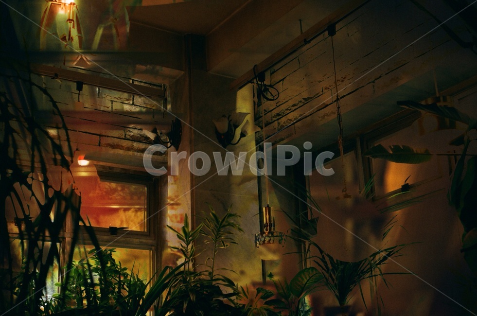 다중노출,합성,빛,나무,벽,인테리어,실내디자인,interior design