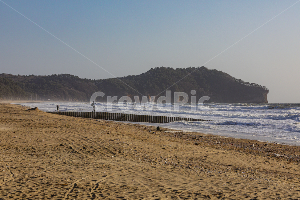 바다,파도,수평선,하늘,갈매기,blue,sea,sky,water,sand,coastline,waves,seagull,자연,풍경,nature,landscape