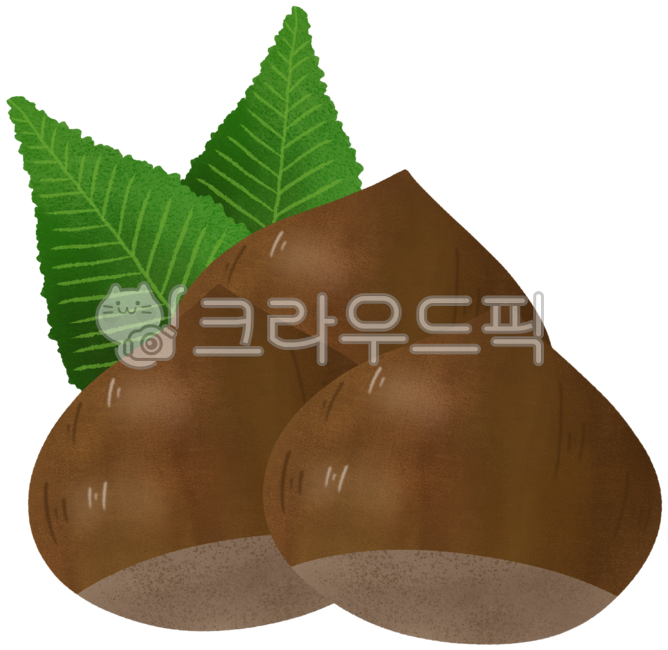 kindergarten,fall,winter illustration,nuts,fall illustration,daycare center,roasted chestnuts,winter,Chestnuts,roasted chestnut illustration,food illustration