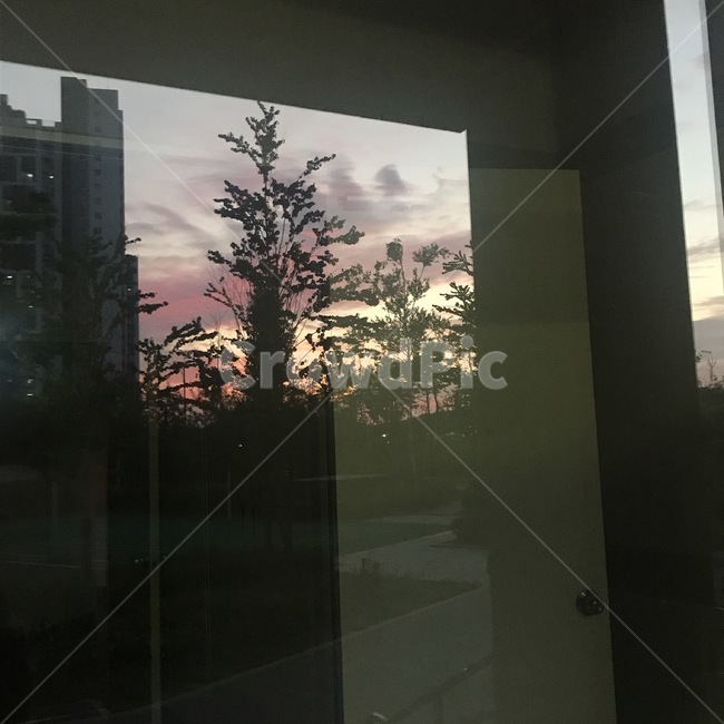 하늘,노을,구름,풍경,저녁,저녁하늘,나무