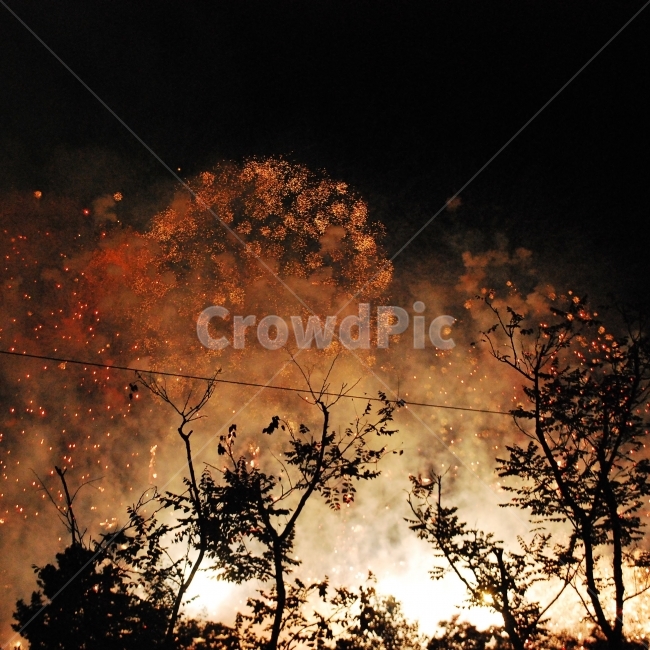 불꽃놀이,불꽃축제,축제,불꽃,나무,밤,야경,불빛,빛,야경,밤,풍경,nightscape,night,landscape,축제,행사,festival,carnival,event,nature,자연,outdoors,옥외,light,flare,플레어