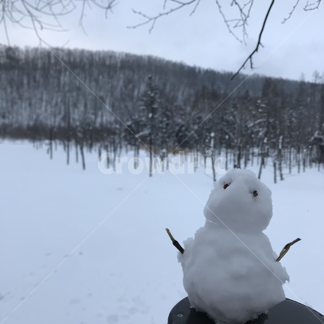 눈,눈사람,삿포로,겨울,추위,겨울,계절,winter,season