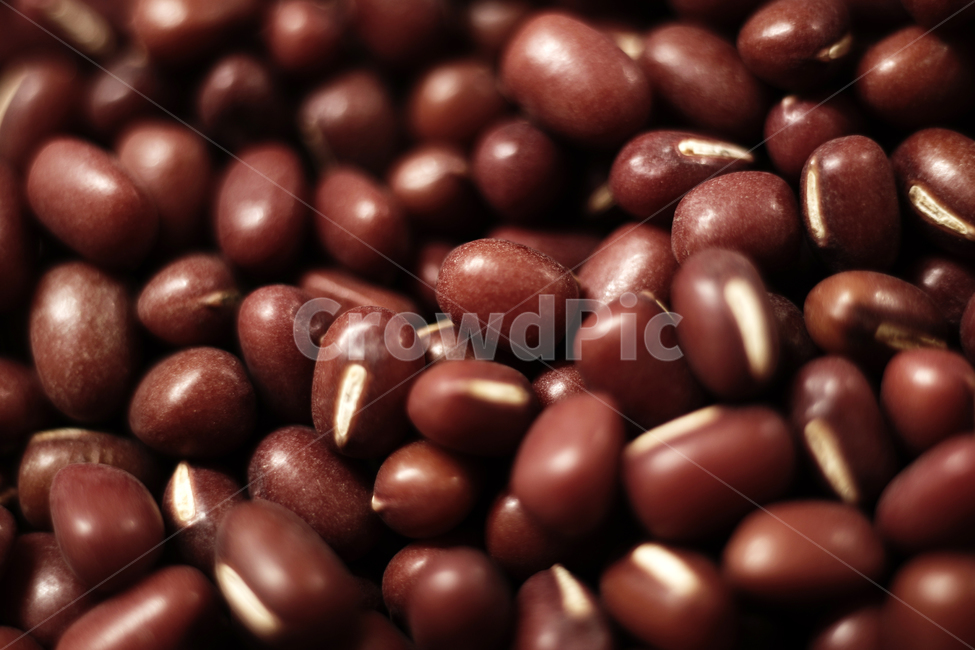 팥,일년생초본식물,콩과,식물,소두,붉은색,음식,식재료,요리,food,cook,meal,dishes,food reserves,콩류,견과류,beans,pulse,nuts,dry fruits