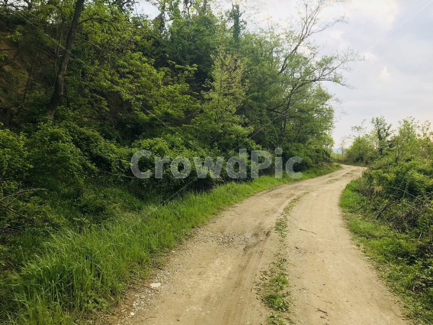 숲길,숲,길,산속,forest,자연,풍경,nature,landscape,gravel,자갈,dirt road,흙길,road,도로