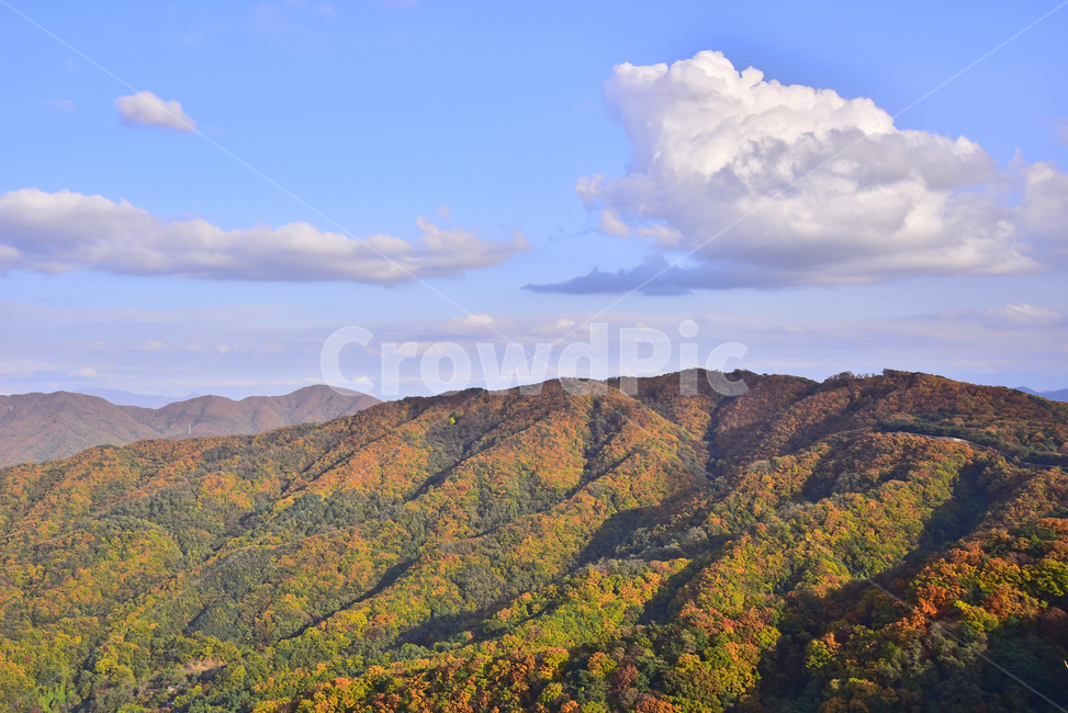 가을,가을풍경,자연,가을배경,fall,autumn,season,가을단풍,nature,outdoors,옥외,산맥,mountain,mountainrange,배경,바탕,백그라운드,background,시즌,계절,골짜기,가을분위기,찬란한,형형색색,칼라풀,colorful,산,능선,봉우리,가을산,가을,계절,fall,autumn,season,자연,풍경,nature,landscape,한국자연풍경,한국자연경관,korea nature landscape