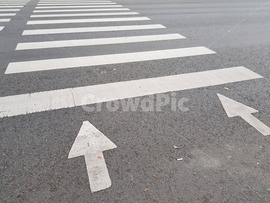 서울,횡단보도,4차선도로,차도,우측통행,교통,교통수단,traffic,transportation,asphalt,아스팔트,road,도로