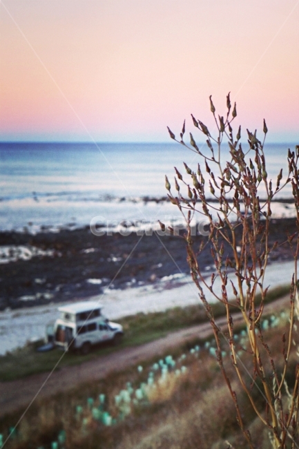 바닷가,노을,바다,해변가,캠핑카,나뭇가지,나무,해안가,scenery,scene,view,landscape,풍경사진,풍경,하늘,sea,sky,sunset,beach,느낌,감성사진,feeling,atmosphere,분위기,배경사진,배경화면,배경,평화로운,차분한,차분함,평화로움,ambience,calm,peaceful,tranquil,still,background,자연,풍경,nature,landscape,해변,바다,beach,sea,식물,plants,여행,휴가,traveling,vacation,trip,감성,sensible,feeling,outdoors,옥외,ocean,대양,water,물,shoreline,해안선,transportation,교통,vehicle,차량,truck,트럭