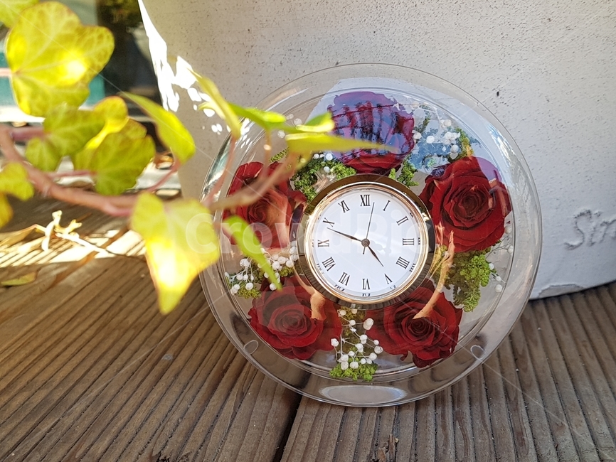 꽃선물,장미꽃,시계,장미,clock,꽃,flower