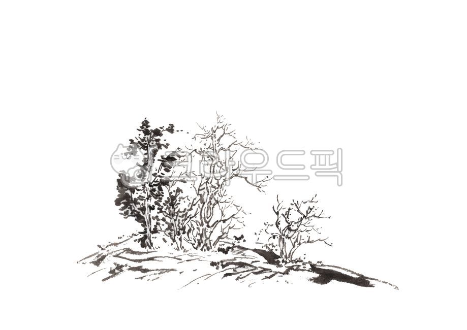 동양화,수묵화,자연,먹그림,겨울나무,동양화일러스트,수묵화일러스트,산수화,먹그림일리스트,여백,한지그림,가지,드로잉,미술,아트,art,소나무,필력,먹,먹선,tree,conifer,나무,바위