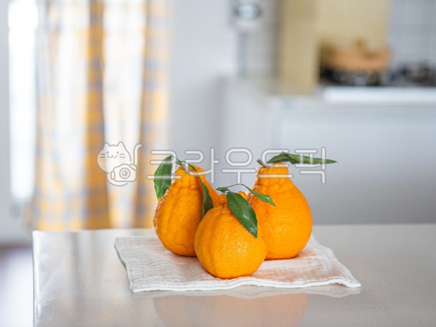 citrus fruits,fruit,Hallabong,food