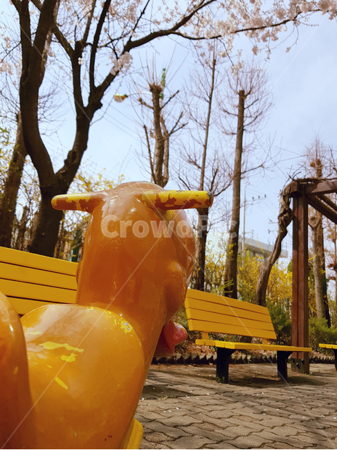 봄,벚꽃,풍경,오리,놀이기구,노랑,벤치,의자,spring,view,bench,chair,yellow,tree,cherryblossom,pinkflowers,산책로,안마당,patio