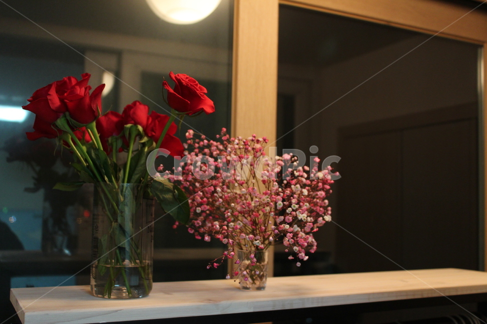 꽃,flower,꽃다발,선물,축하,pink,present,gift,celebrate,구도,분위기,색감,화분,장미,rose,장미꽃,안개꽃